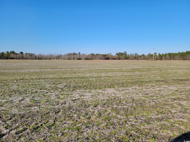 view of local wilderness featuring a rural view