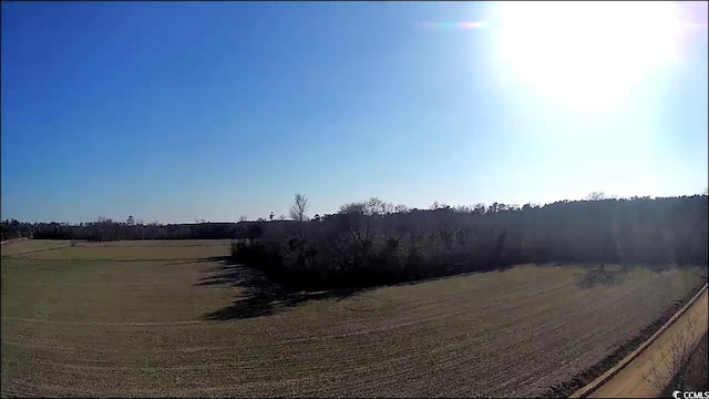 view of local wilderness with a rural view