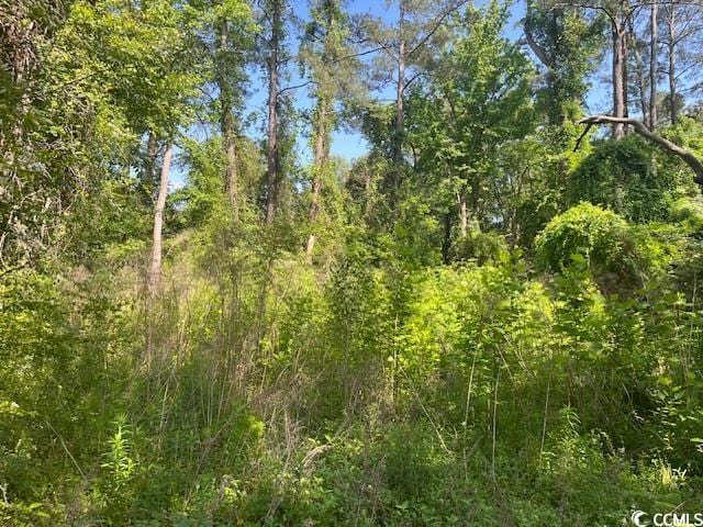 Listing photo 2 for LOT6 Whittemore St, Conway SC 29527