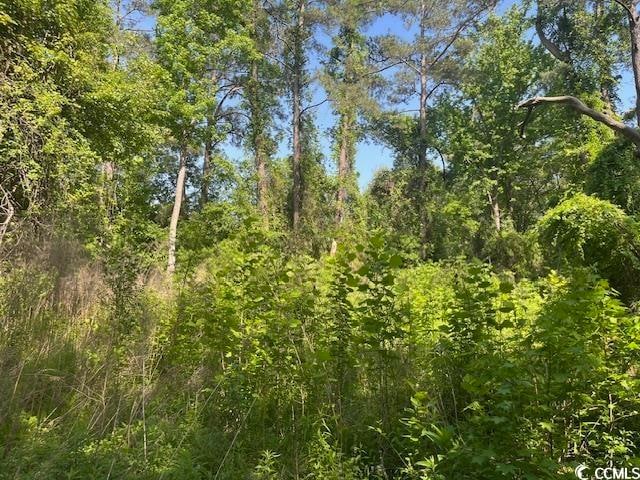 Listing photo 3 for LOT6 Whittemore St, Conway SC 29527