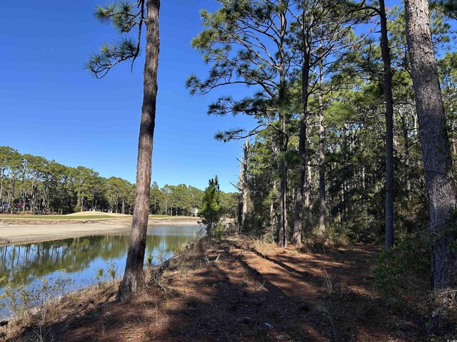 8000 Ocean Hwy, Pawleys Island, SC 29585 - photo 4