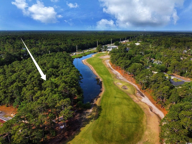 8000 Ocean Hwy, Pawleys Island, SC 29585 - photo 9
