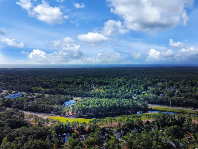 8000 Ocean Hwy, Pawleys Island, SC 29585 - photo 10
