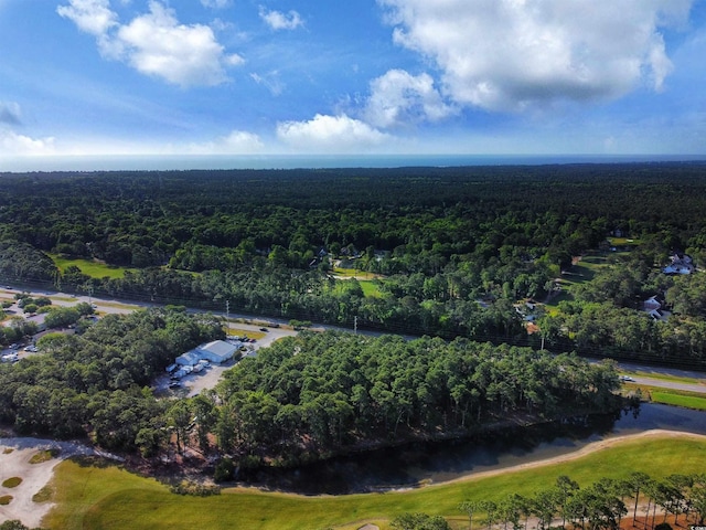8000 Ocean Hwy, Pawleys Island, SC 29585 - photo 11