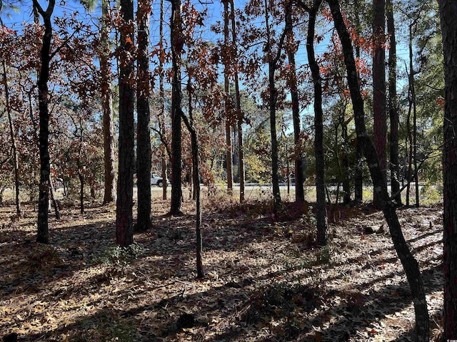 8000 Ocean Hwy, Pawleys Island, SC 29585 - photo 15