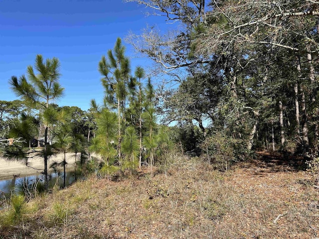 8000 Ocean Hwy, Pawleys Island, SC 29585 - photo 16