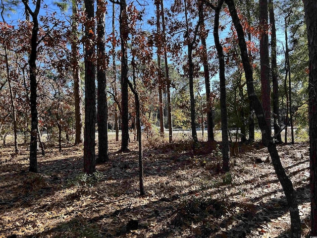 8000 Ocean Hwy, Pawleys Island, SC 29585 - photo 17