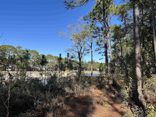 8000 Ocean Hwy, Pawleys Island, SC 29585 - photo 19