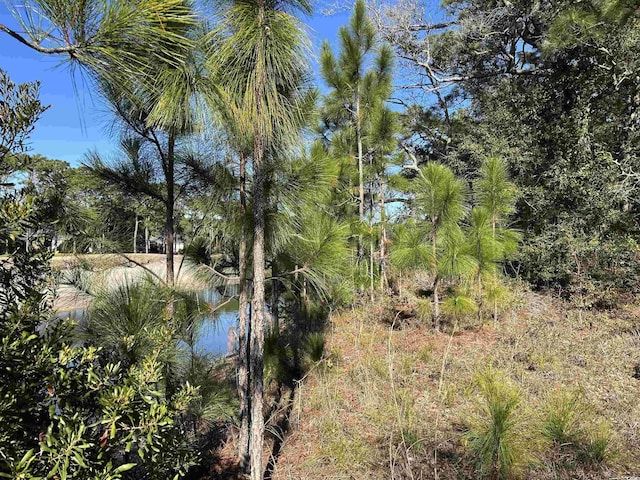 8000 Ocean Hwy, Pawleys Island, SC 29585 - photo 23