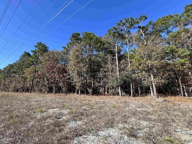 8000 Ocean Hwy, Pawleys Island, SC 29585 - photo 32