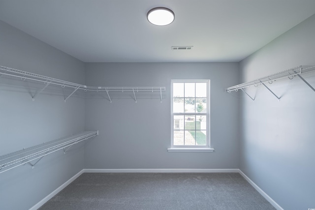 spacious closet with carpet flooring