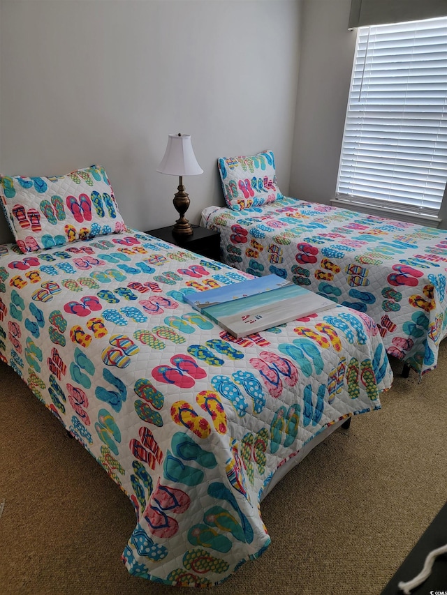 bedroom featuring carpet floors