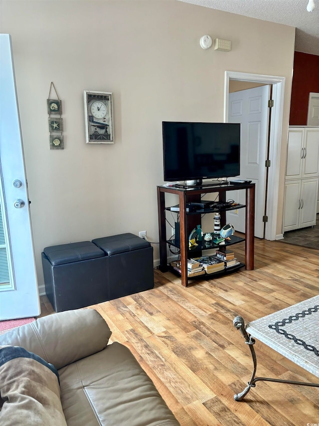 living room featuring wood-type flooring and a textured ceiling