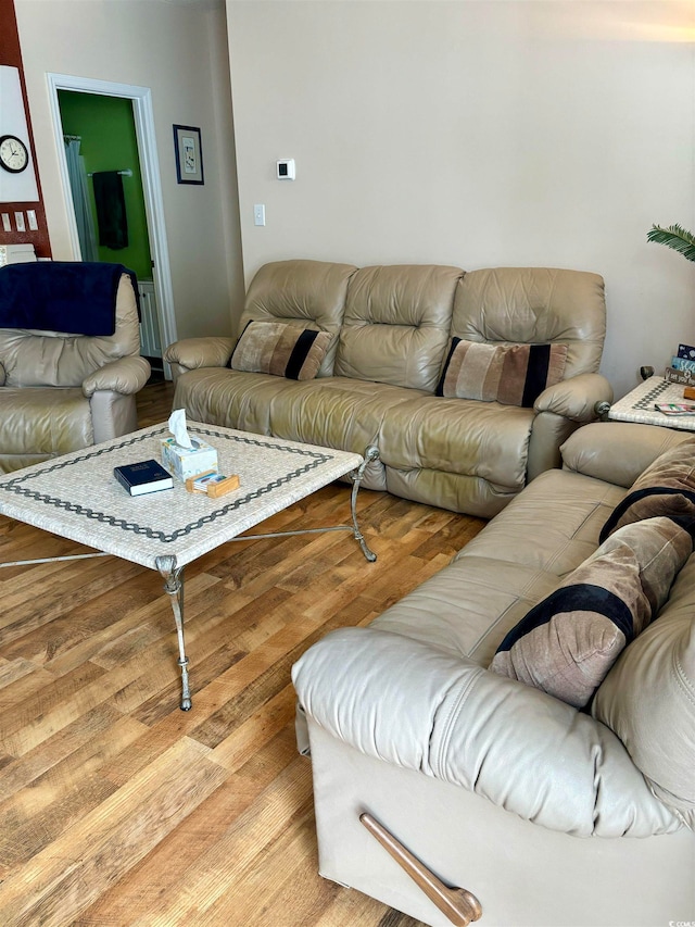 living room featuring hardwood / wood-style flooring