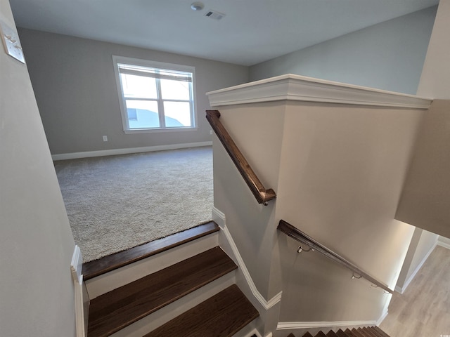 stairway with carpet flooring