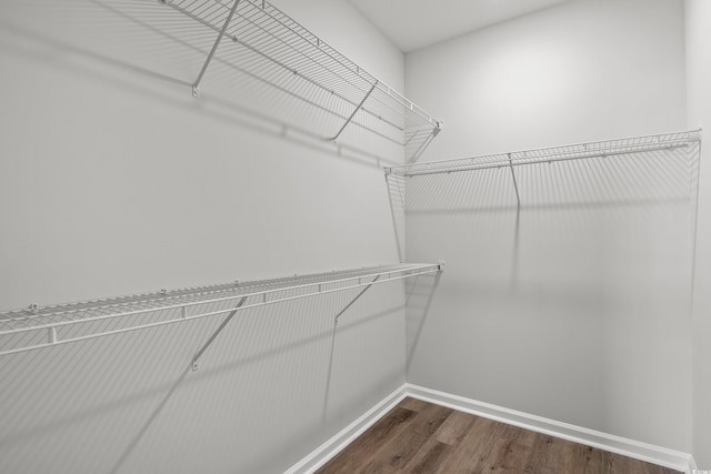 walk in closet featuring dark wood-type flooring