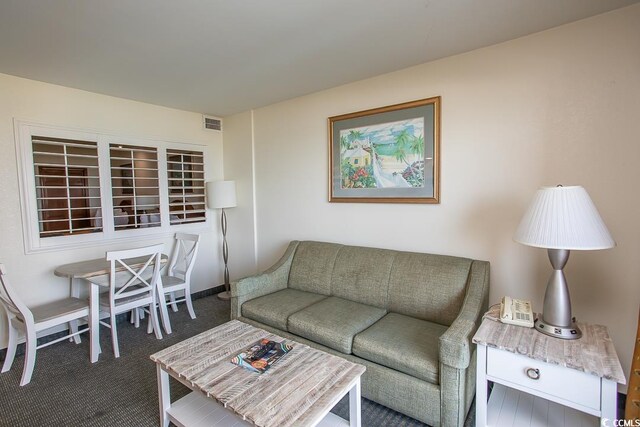 4800 S Ocean Blvd Unit 316, North Myrtle Beach, SC 29582 - photo 25