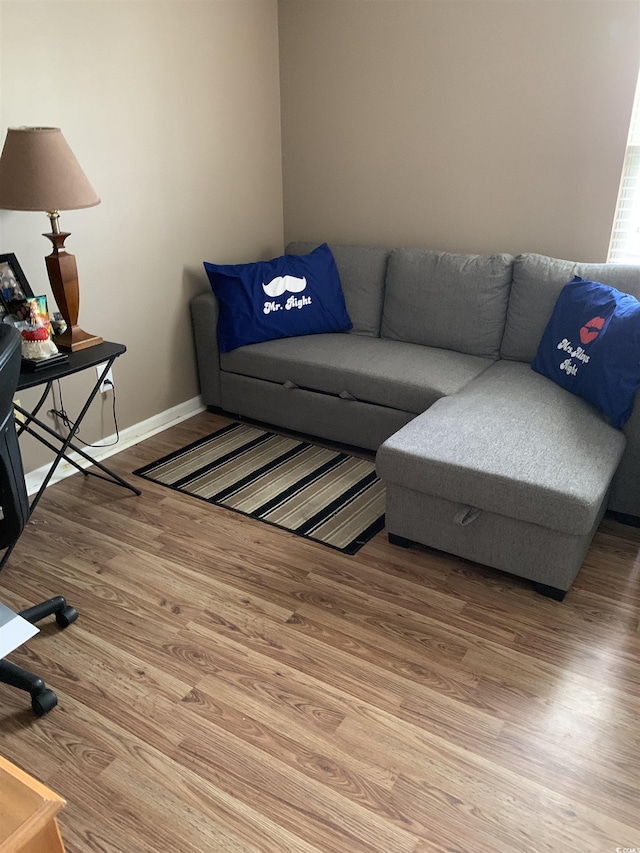 2276 Essex Dr Unit A, Myrtle Beach, SC 29575 - living room featuring wood finished floors and baseboards
