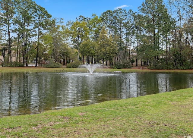 property view of water