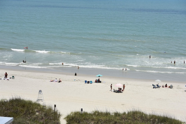 water view featuring a beach view