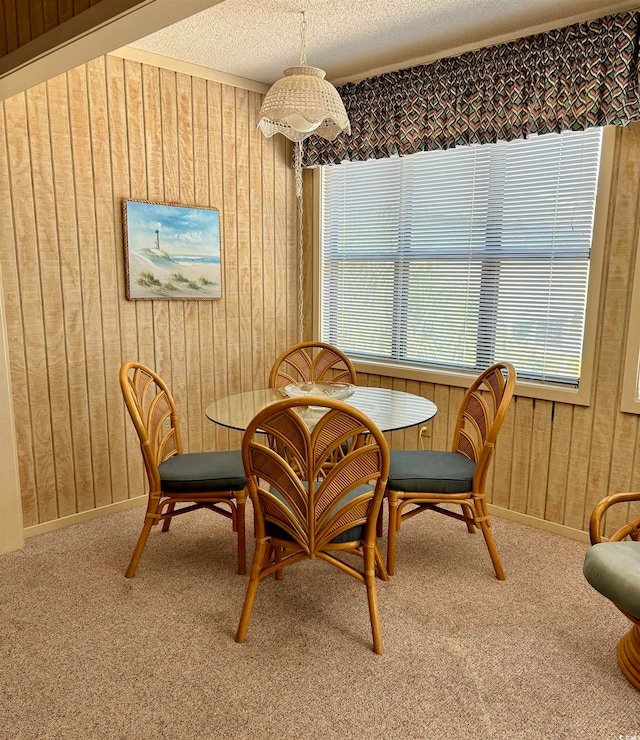 sitting room with carpet floors, wood walls, plenty of natural light, and a textured ceiling