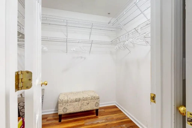 spacious closet featuring hardwood / wood-style flooring