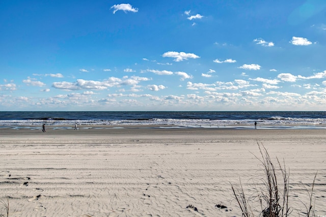 property view of water with a beach view