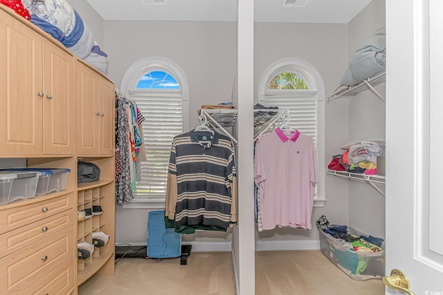 spacious closet with light colored carpet