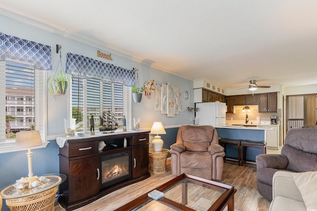 living room featuring sink, ceiling fan, and hardwood / wood-style flooring