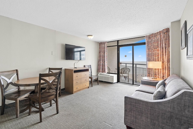 living room featuring floor to ceiling windows, carpet, and a textured ceiling