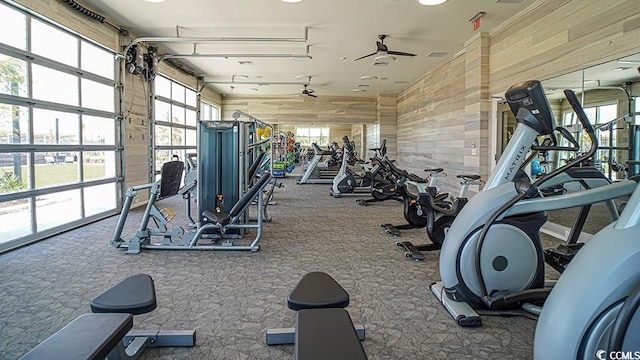 workout area with wood walls, carpet flooring, and ceiling fan