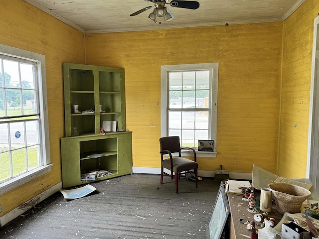 201 S Nichols St, Nichols, SC 29581 - photo 17