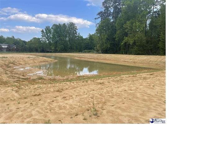 TBD Devonshire Ln, Lake City SC, 29560 land for sale