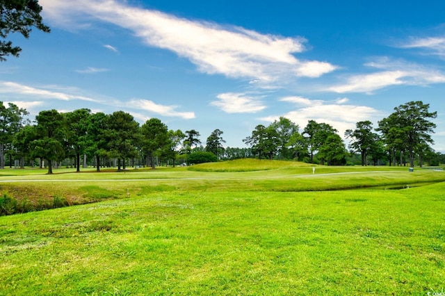 surrounding community with a lawn