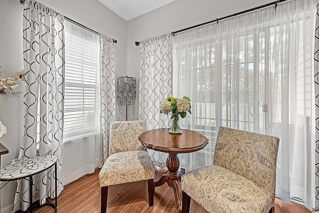 sitting room featuring a healthy amount of sunlight and hardwood / wood-style floors