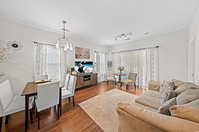 living room featuring hardwood / wood-style floors, a wealth of natural light, a chandelier, and rail lighting