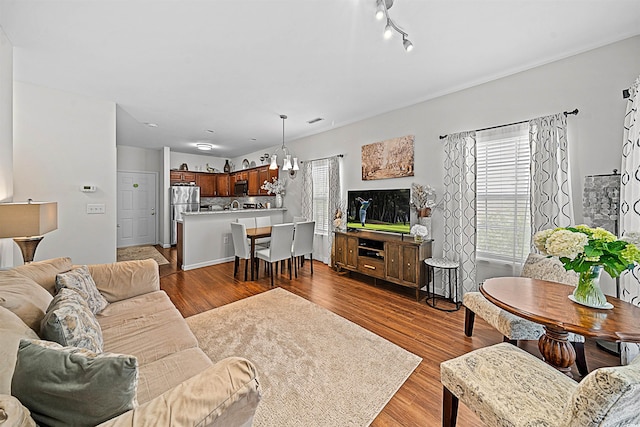 living room featuring hardwood / wood-style flooring and rail lighting