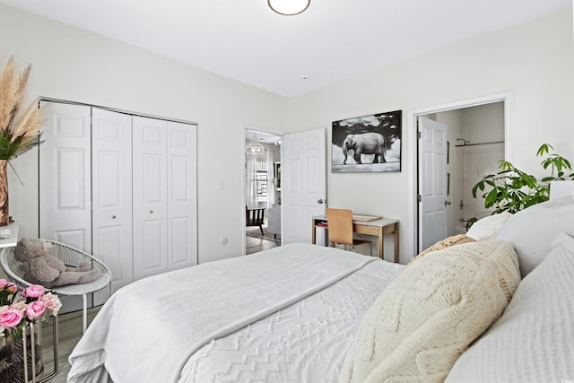 bedroom featuring a closet and wood-type flooring