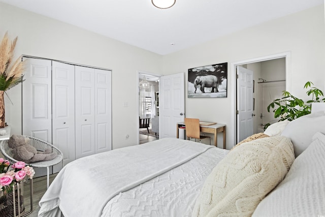 242 Sun Colony Blvd Unit 101, Longs, SC 29568 - bedroom featuring a closet and wood finished floors