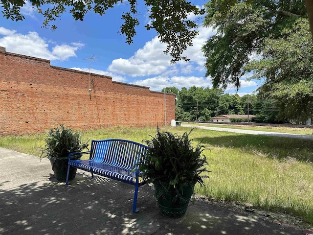 TBD E Hampton Ave, Kingstree, SC 29556 - photo 2