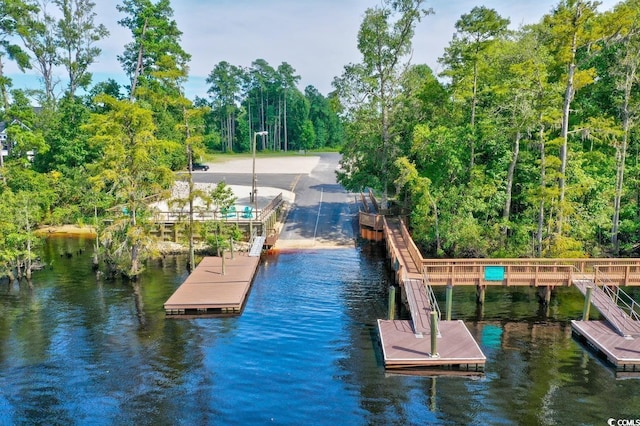 dock area with a water view