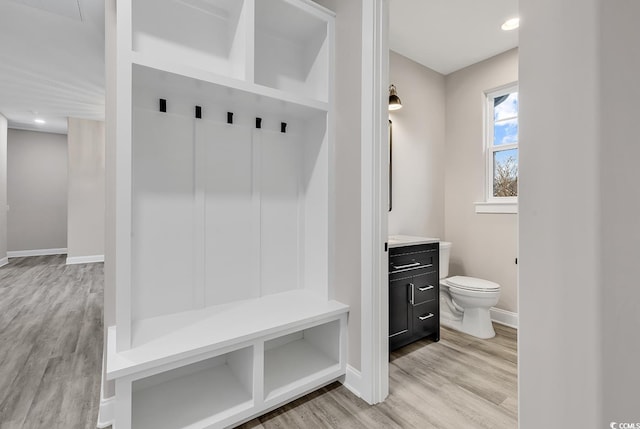 mudroom featuring light hardwood / wood-style floors