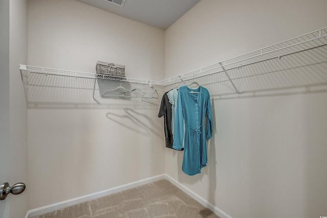 walk in closet with carpet flooring