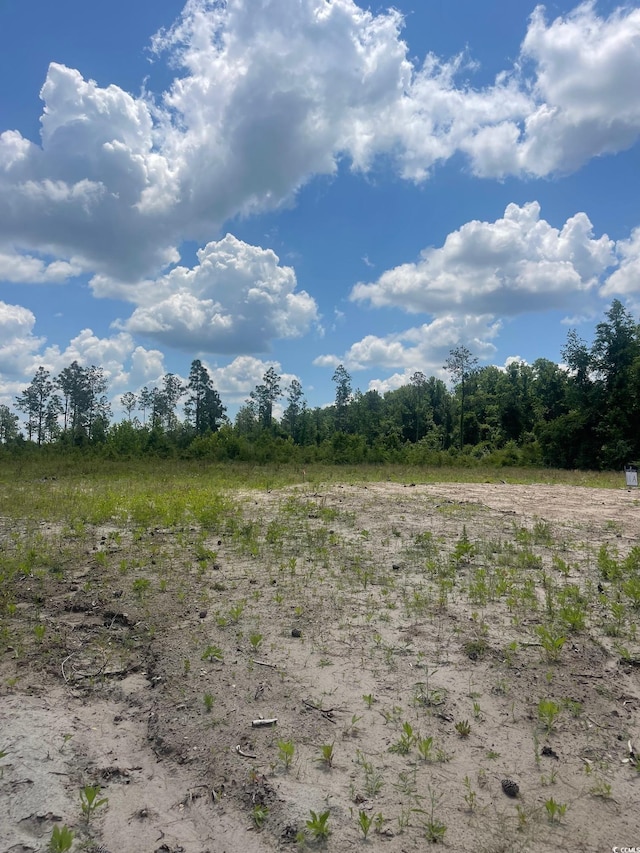 611 Mincey Dr, Loris, SC 29569