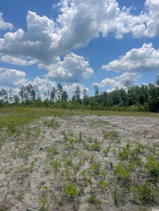 611 Mincey Dr, Loris, SC 29569