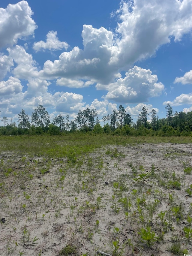 611 Mincey Dr, Loris, SC 29569