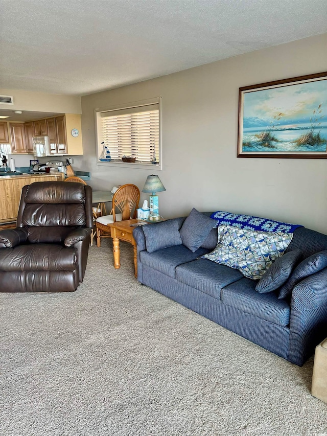 living room featuring carpet flooring, sink, and a textured ceiling