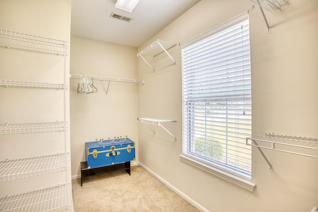 spacious closet featuring light colored carpet