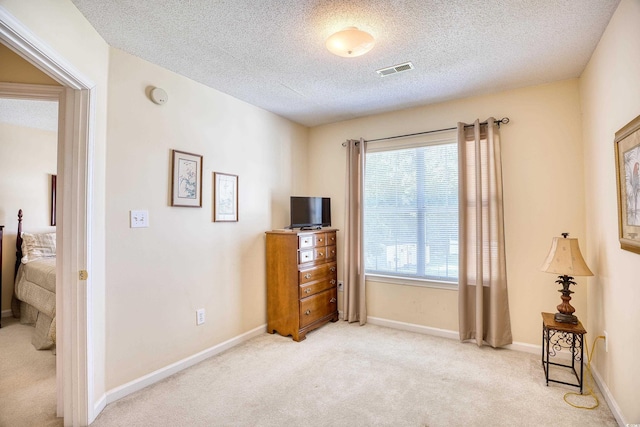 interior space with light colored carpet and a textured ceiling