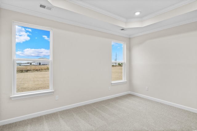 carpeted empty room featuring a raised ceiling and crown molding